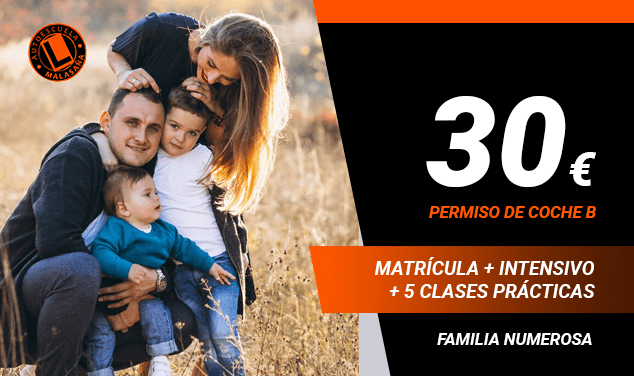 Carnet familia numerosa
